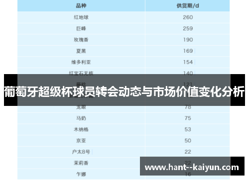 葡萄牙超级杯球员转会动态与市场价值变化分析 葡萄牙超级杯球员转会动态与市场价值变化分析